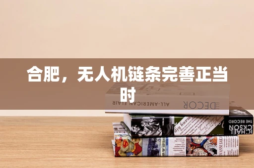 合肥，无人机链条完善正当时