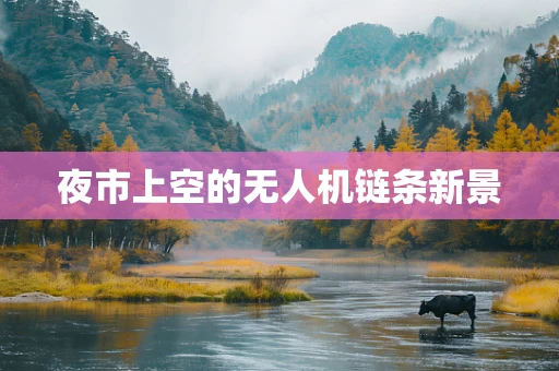 夜市上空的无人机链条新景