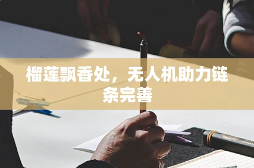 榴莲飘香处，无人机助力链条完善