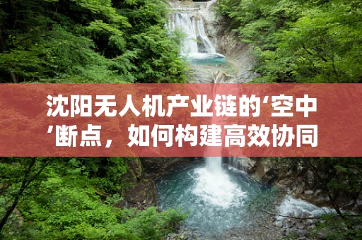 沈阳无人机产业链的‘空中’断点，如何构建高效协同的供应链网络？