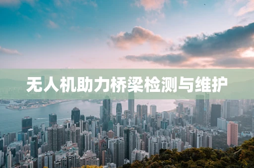 无人机助力桥梁检测与维护