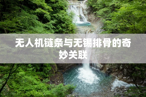 无人机链条与无锡排骨的奇妙关联