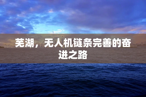 芜湖，无人机链条完善的奋进之路