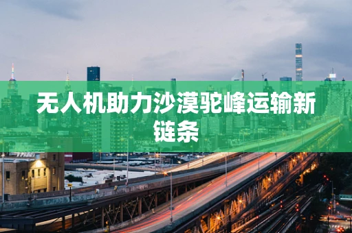 无人机助力沙漠驼峰运输新链条