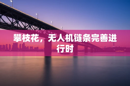 攀枝花，无人机链条完善进行时