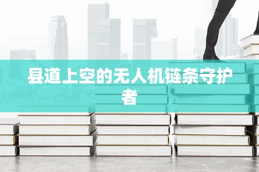 县道上空的无人机链条守护者