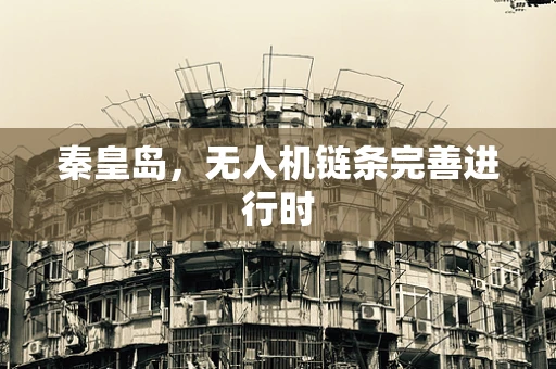 秦皇岛，无人机链条完善进行时