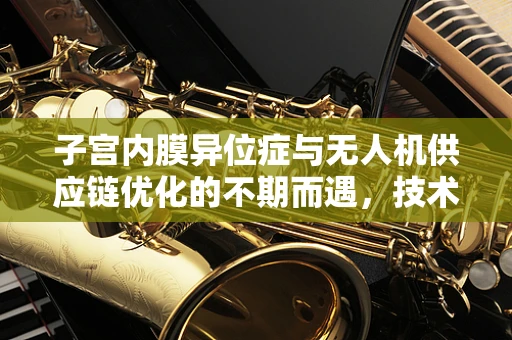 子宫内膜异位症与无人机供应链优化的不期而遇，技术员视角下的跨界挑战