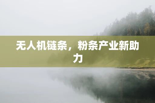 无人机链条，粉条产业新助力