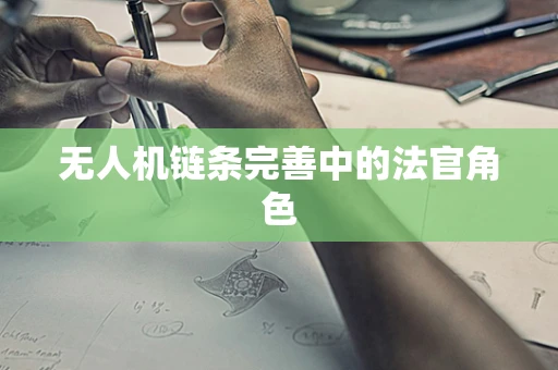 无人机链条完善中的法官角色