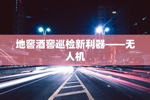 地窖酒窖巡检新利器——无人机