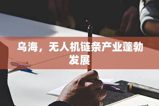 乌海，无人机链条产业蓬勃发展