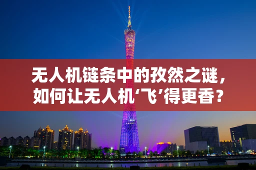 无人机链条中的孜然之谜，如何让无人机‘飞’得更香？