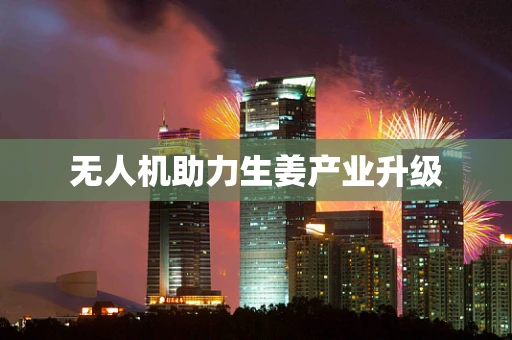 无人机助力生姜产业升级