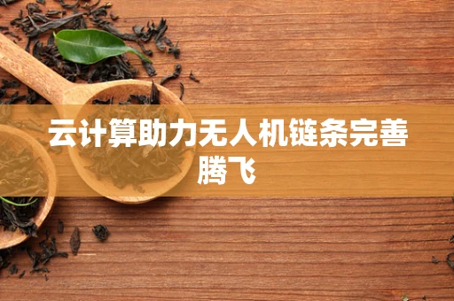 云计算助力无人机链条完善腾飞