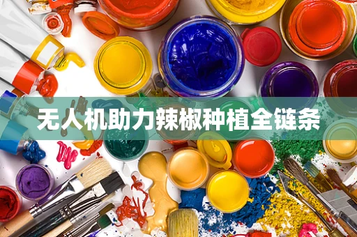 无人机助力辣椒种植全链条