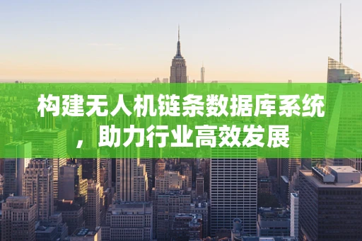 构建无人机链条数据库系统，助力行业高效发展