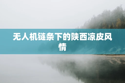 无人机链条下的陕西凉皮风情