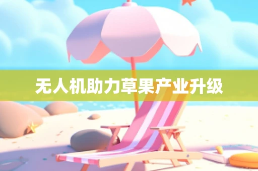 无人机助力草果产业升级