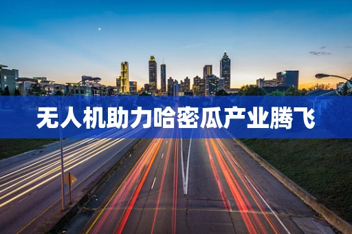 无人机助力哈密瓜产业腾飞