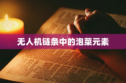 无人机链条中的泡菜元素