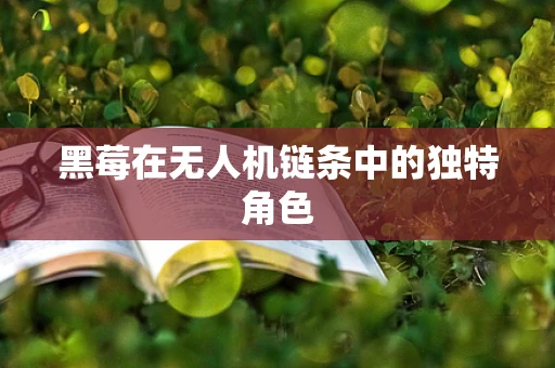 黑莓在无人机链条中的独特角色