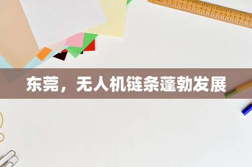 东莞，无人机链条蓬勃发展