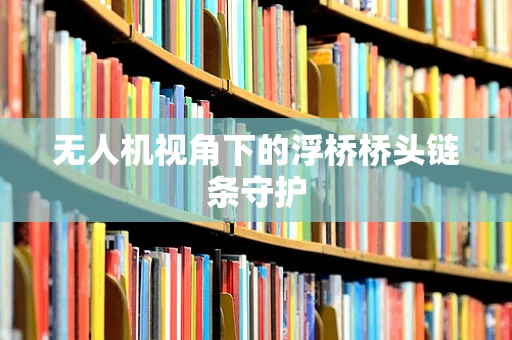 无人机视角下的浮桥桥头链条守护