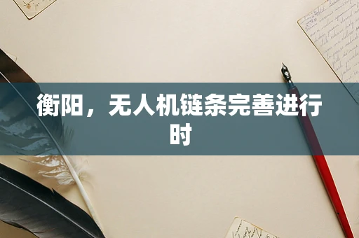 衡阳，无人机链条完善进行时