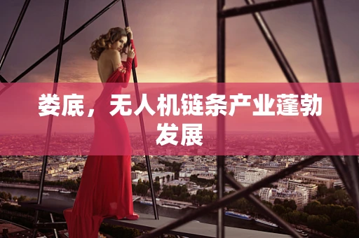 娄底，无人机链条产业蓬勃发展