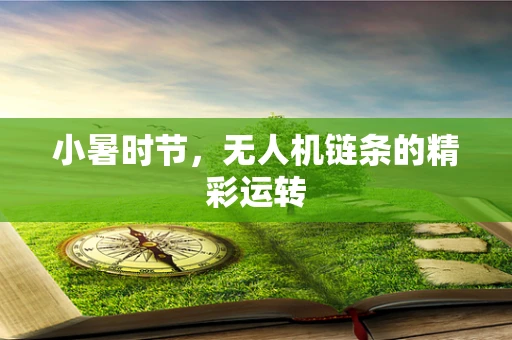 小暑时节，无人机链条的精彩运转