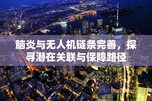 脑炎与无人机链条完善，探寻潜在关联与保障路径