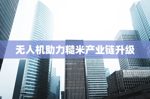 无人机助力糙米产业链升级