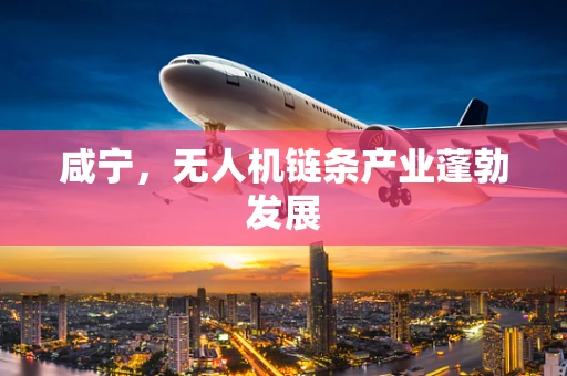 咸宁，无人机链条产业蓬勃发展