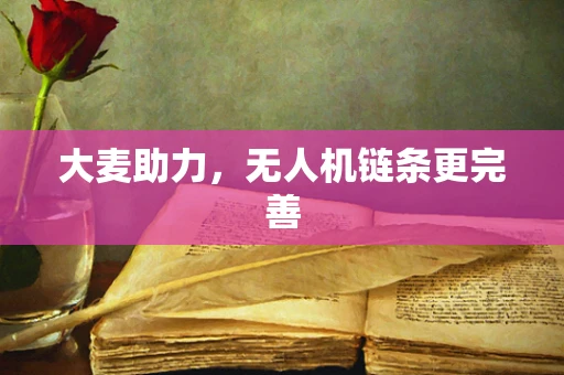 大麦助力，无人机链条更完善