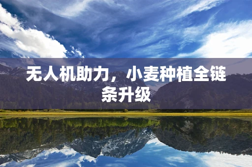无人机助力，小麦种植全链条升级
