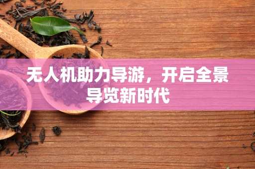 无人机助力导游，开启全景导览新时代