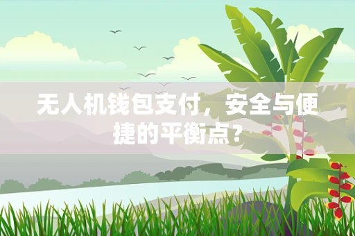 无人机钱包支付，安全与便捷的平衡点？
