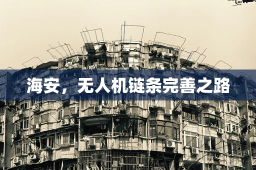 海安，无人机链条完善之路