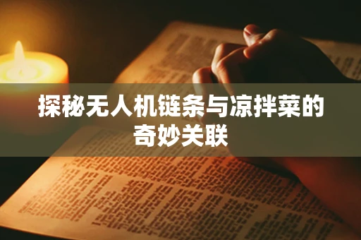 探秘无人机链条与凉拌菜的奇妙关联
