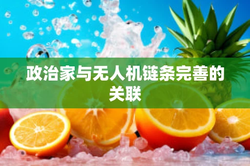 政治家与无人机链条完善的关联