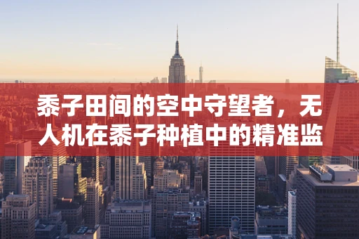 黍子田间的空中守望者，无人机在黍子种植中的精准监测挑战