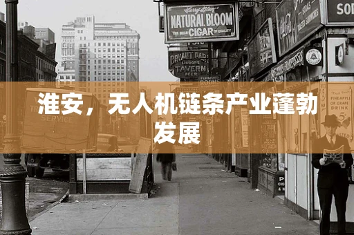 淮安，无人机链条产业蓬勃发展