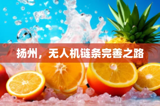 扬州，无人机链条完善之路