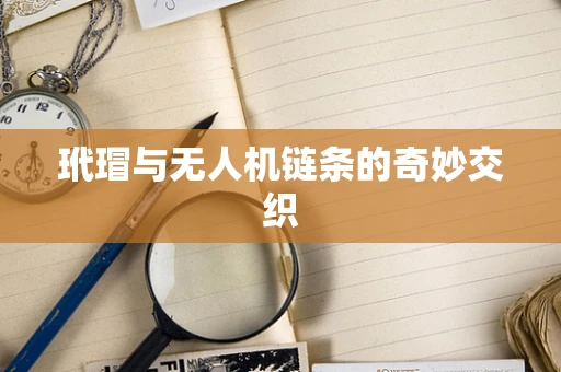 玳瑁与无人机链条的奇妙交织