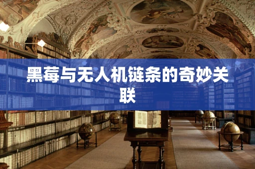 黑莓与无人机链条的奇妙关联