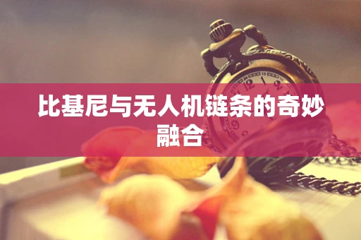 比基尼与无人机链条的奇妙融合