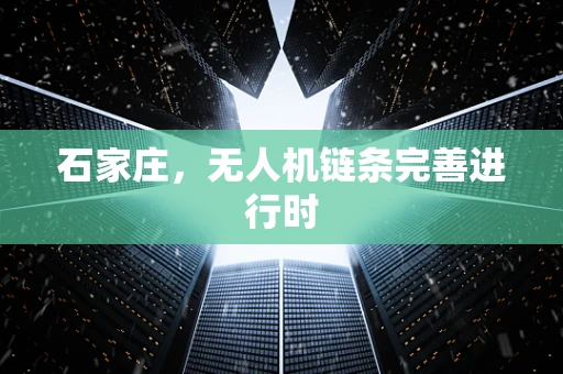 石家庄，无人机链条完善进行时