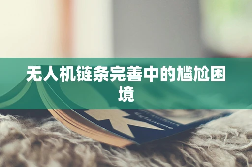 无人机链条完善中的尴尬困境