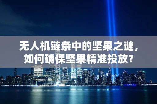 无人机链条中的坚果之谜，如何确保坚果精准投放？